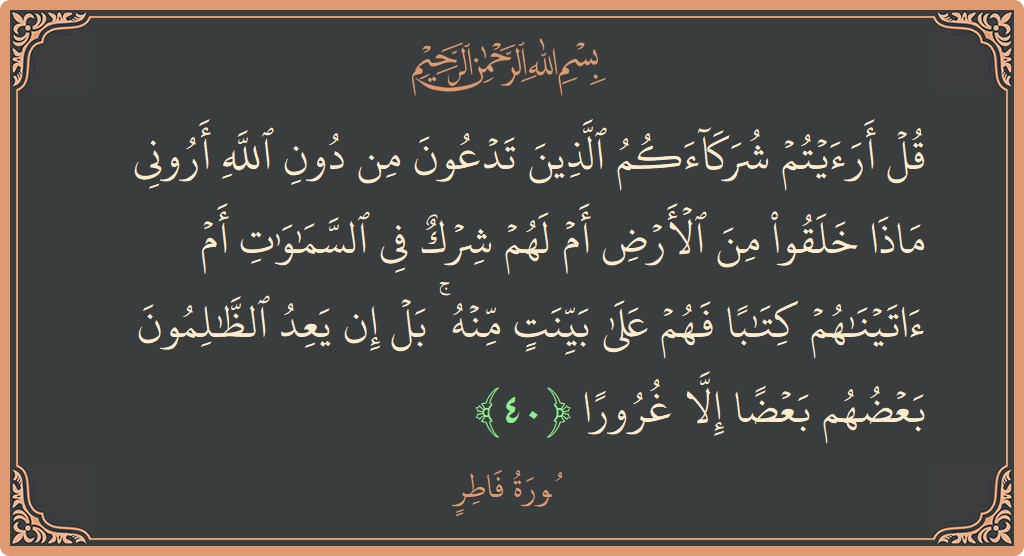 40 - Fatır Suresi ayeti: (قل أرأيتم شركاءكم الذين تدعون من دون الله أروني ماذا خلقوا من الأرض أم لهم شرك في السماوات أم آتيناهم...) - Türkçe