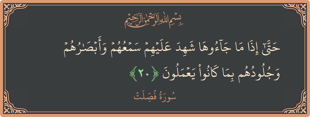 Ayat 20 - Surat Fussilat: (حتى إذا ما جاءوها شهد عليهم سمعهم وأبصارهم وجلودهم بما كانوا يعملون...) - Indonesia