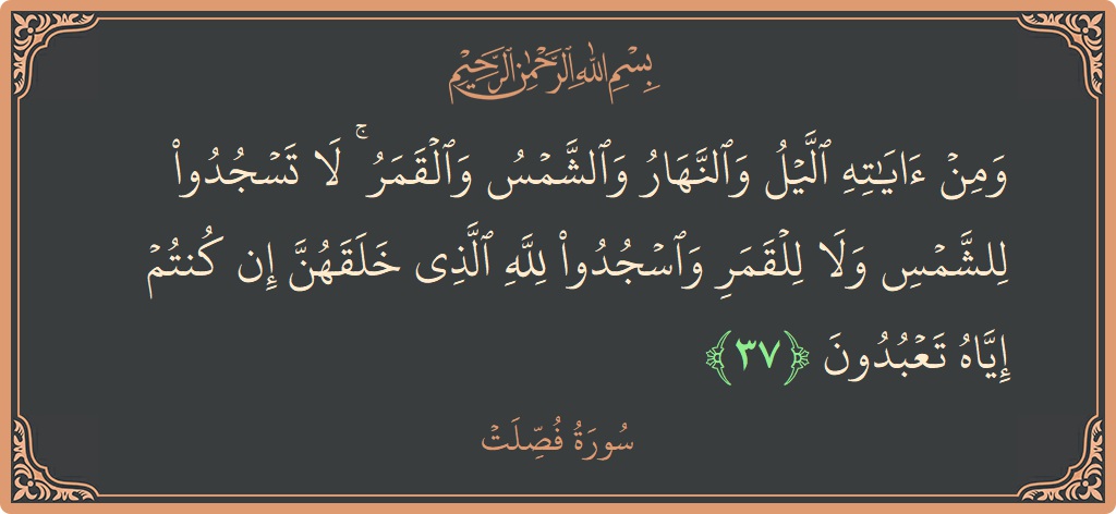 Verse 37 - Surah Fussilat: (ومن آياته الليل والنهار والشمس والقمر ۚ لا تسجدوا للشمس ولا للقمر واسجدوا لله الذي خلقهن إن كنتم إياه تعبدون...) - English