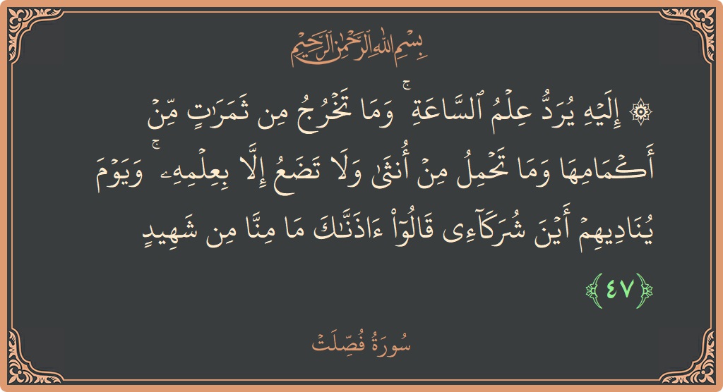 آیت 47 - سورہ فصیلات: (۞ إليه يرد علم الساعة ۚ وما تخرج من ثمرات من أكمامها وما تحمل من أنثى ولا تضع إلا بعلمه...) - اردو