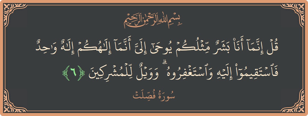 Verse 6 - Surah Fussilat: (قل إنما أنا بشر مثلكم يوحى إلي أنما إلهكم إله واحد فاستقيموا إليه واستغفروه ۗ وويل للمشركين...) - English