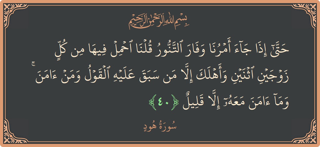 Verse 40 - Surah Hud: (حتى إذا جاء أمرنا وفار التنور قلنا احمل فيها من كل زوجين اثنين وأهلك إلا من سبق عليه القول ومن...) - English