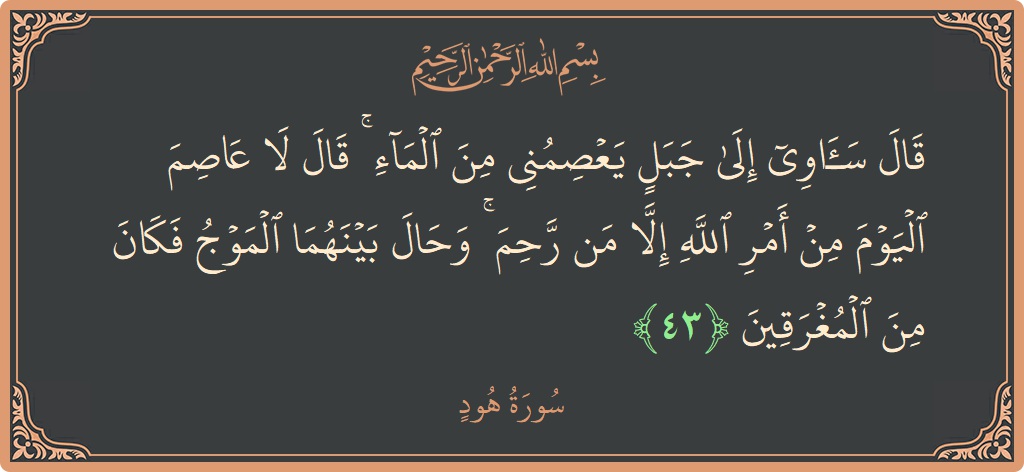Verse 43 - Surah Hud: (قال سآوي إلى جبل يعصمني من الماء ۚ قال لا عاصم اليوم من أمر الله إلا من رحم ۚ وحال...) - English
