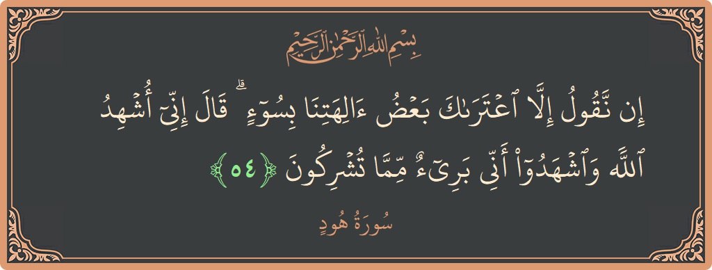 آیت 54 - سورہ ہود: (إن نقول إلا اعتراك بعض آلهتنا بسوء ۗ قال إني أشهد الله واشهدوا أني بريء مما تشركون...) - اردو