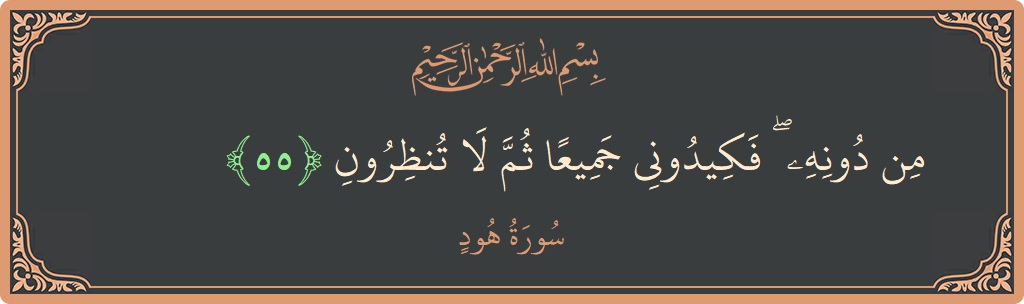آیت 55 - سورہ ہود: (من دونه ۖ فكيدوني جميعا ثم لا تنظرون...) - اردو
