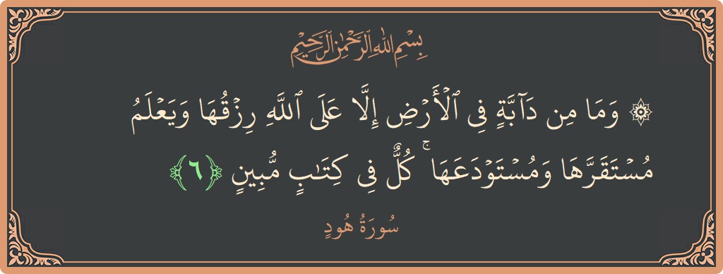آیت 6 - سورہ ہود: (۞ وما من دابة في الأرض إلا على الله رزقها ويعلم مستقرها ومستودعها ۚ كل في كتاب مبين...) - اردو