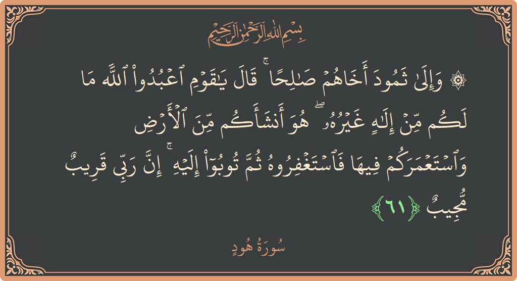 آیت 61 - سورہ ہود: (۞ وإلى ثمود أخاهم صالحا ۚ قال يا قوم اعبدوا الله ما لكم من إله غيره ۖ هو أنشأكم من...) - اردو