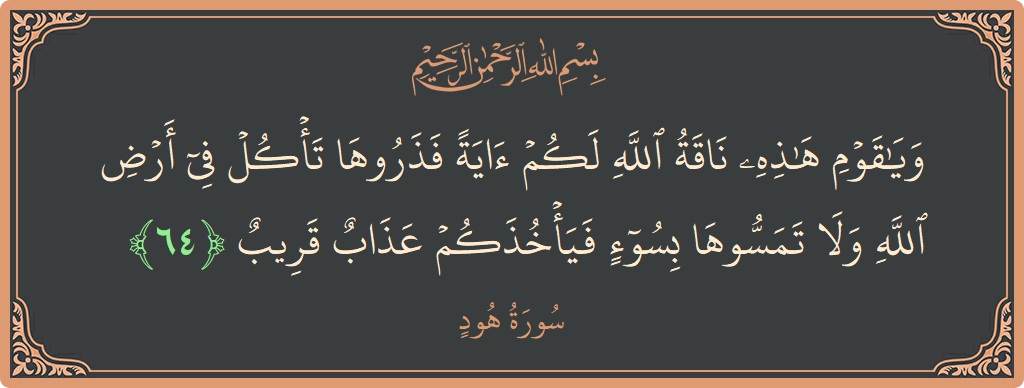 آیت 64 - سورہ ہود: (ويا قوم هذه ناقة الله لكم آية فذروها تأكل في أرض الله ولا تمسوها بسوء فيأخذكم عذاب قريب...) - اردو