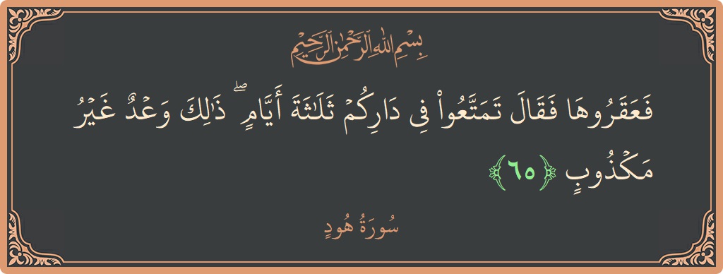 آیت 65 - سورہ ہود: (فعقروها فقال تمتعوا في داركم ثلاثة أيام ۖ ذلك وعد غير مكذوب...) - اردو