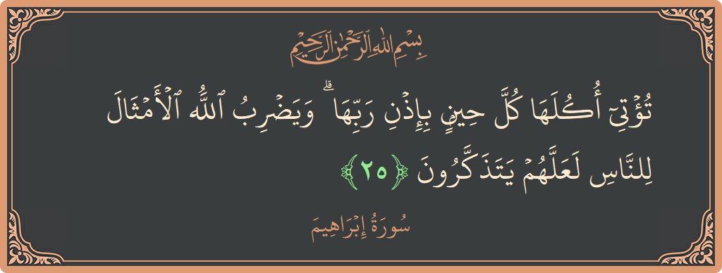 آیت 25 - سورہ ابراہیم: (تؤتي أكلها كل حين بإذن ربها ۗ ويضرب الله الأمثال للناس لعلهم يتذكرون...) - اردو