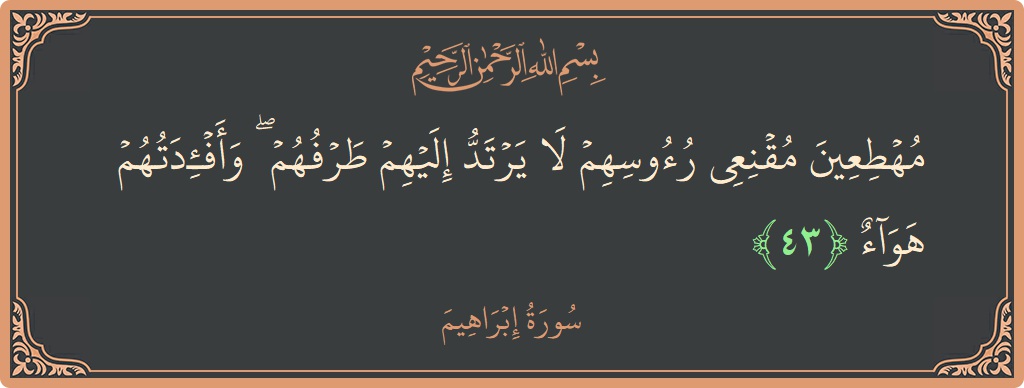 آیت 43 - سورہ ابراہیم: (مهطعين مقنعي رءوسهم لا يرتد إليهم طرفهم ۖ وأفئدتهم هواء...) - اردو