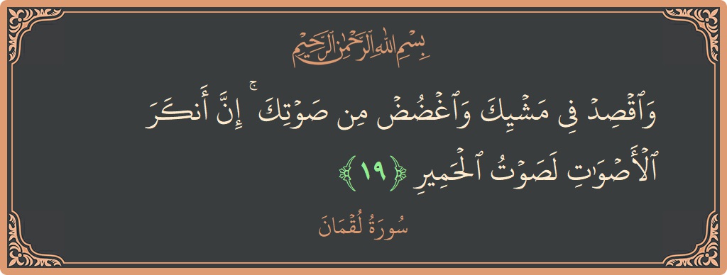 الآية 19 - سورة لقمان: (واقصد في مشيك واغضض من صوتك ۚ إن أنكر الأصوات لصوت الحمير...)