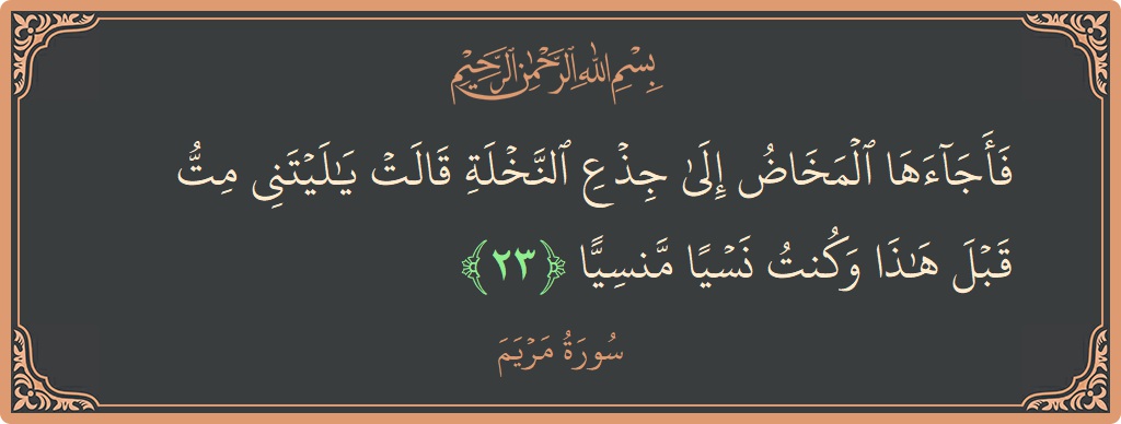 الآية 23 - سورة مريم: (فأجاءها المخاض إلى جذع النخلة قالت يا ليتني مت قبل هذا وكنت نسيا منسيا...)