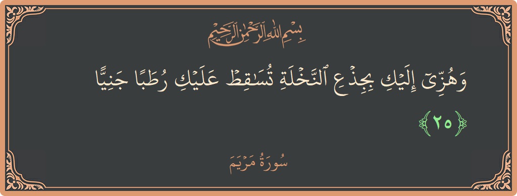 25 - Meryem Suresi ayeti: (وهزي إليك بجذع النخلة تساقط عليك رطبا جنيا...) - Türkçe