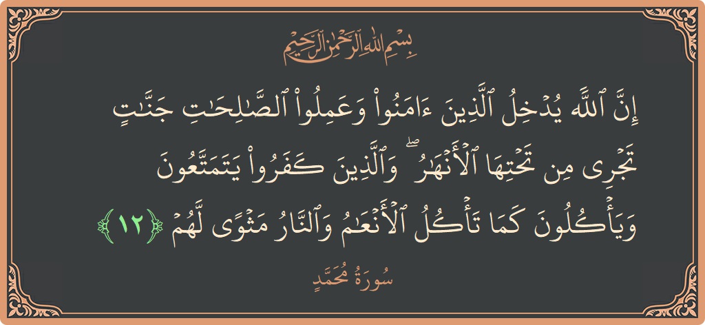 الآية 12 - سورة محمد: (إن الله يدخل الذين آمنوا وعملوا الصالحات جنات تجري من تحتها الأنهار ۖ والذين كفروا يتمتعون ويأكلون كما تأكل الأنعام...)