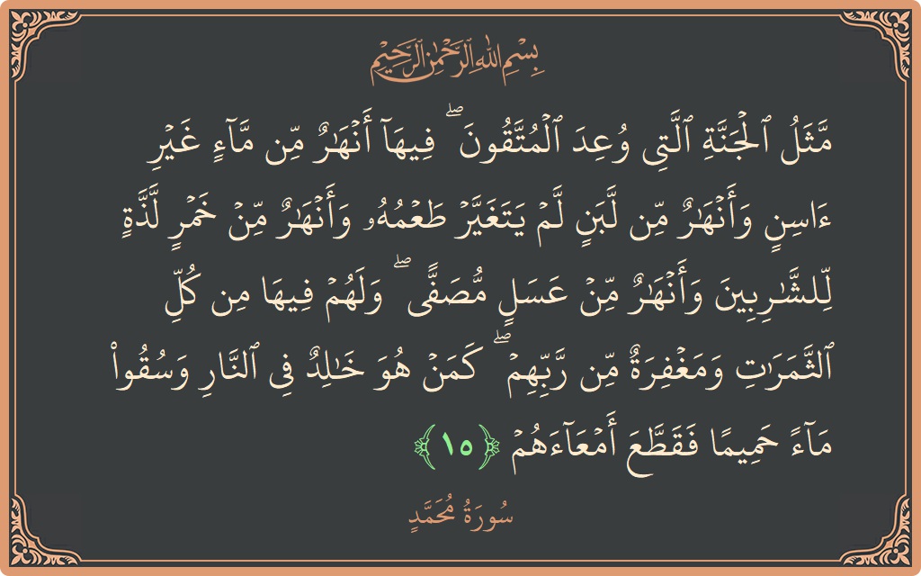 الآية 15 - سورة محمد: (مثل الجنة التي وعد المتقون ۖ فيها أنهار من ماء غير آسن وأنهار من لبن لم يتغير طعمه وأنهار من...)