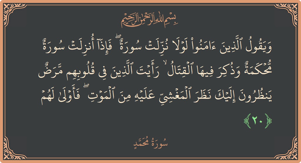 الآية 20 - سورة محمد: (ويقول الذين آمنوا لولا نزلت سورة ۖ فإذا أنزلت سورة محكمة وذكر فيها القتال ۙ رأيت الذين في قلوبهم مرض...)