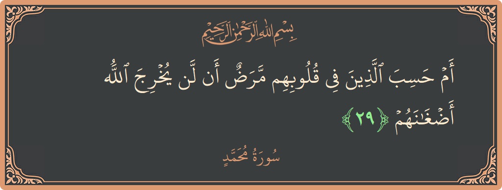 الآية 29 - سورة محمد: (أم حسب الذين في قلوبهم مرض أن لن يخرج الله أضغانهم...)
