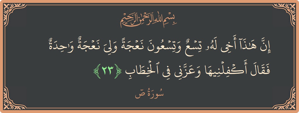 23 - Saad Suresi ayeti: (إن هذا أخي له تسع وتسعون نعجة ولي نعجة واحدة فقال أكفلنيها وعزني في الخطاب...) - Türkçe