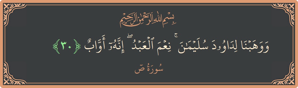 30 - Saad Suresi ayeti: (ووهبنا لداوود سليمان ۚ نعم العبد ۖ إنه أواب...) - Türkçe