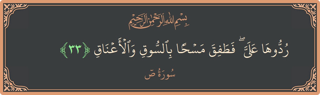 33 - Saad Suresi ayeti: (ردوها علي ۖ فطفق مسحا بالسوق والأعناق...) - Türkçe