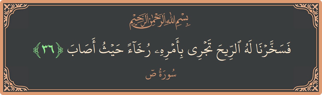 36 - Saad Suresi ayeti: (فسخرنا له الريح تجري بأمره رخاء حيث أصاب...) - Türkçe