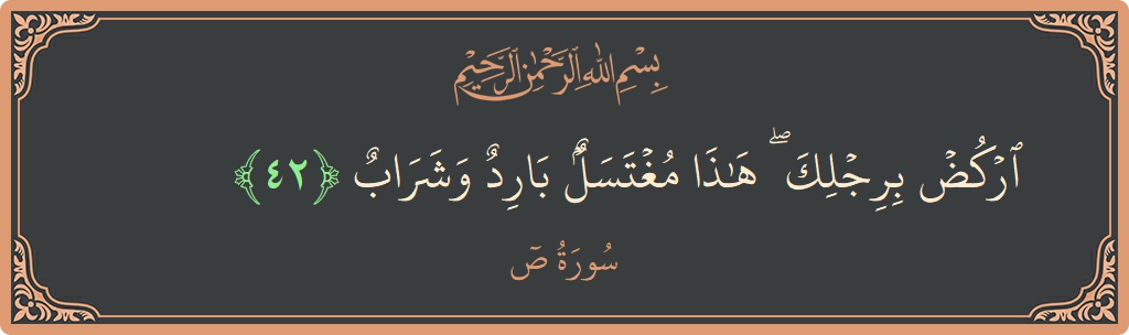 آیت 42 - سورہ سعد: (اركض برجلك ۖ هذا مغتسل بارد وشراب...) - اردو