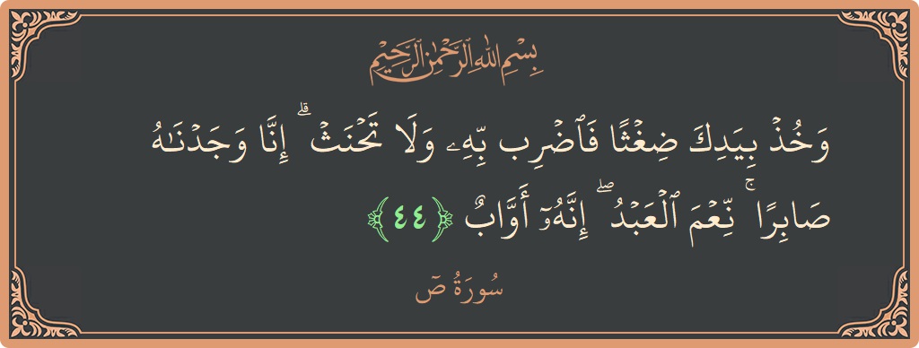 الآية 44 - سورة ص: (وخذ بيدك ضغثا فاضرب به ولا تحنث ۗ إنا وجدناه صابرا ۚ نعم العبد ۖ إنه أواب...)