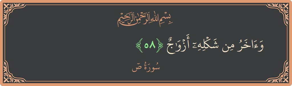 58 - Saad Suresi ayeti: (وآخر من شكله أزواج...) - Türkçe
