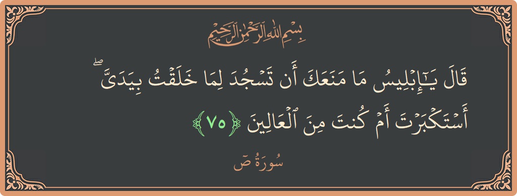 الآية 75 - سورة ص: (قال يا إبليس ما منعك أن تسجد لما خلقت بيدي ۖ أستكبرت أم كنت من العالين...)