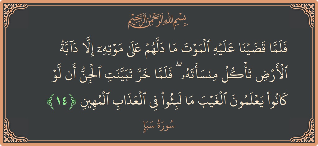 آیت 14 - سورہ سبا: (فلما قضينا عليه الموت ما دلهم على موته إلا دابة الأرض تأكل منسأته ۖ فلما خر تبينت الجن أن لو...) - اردو