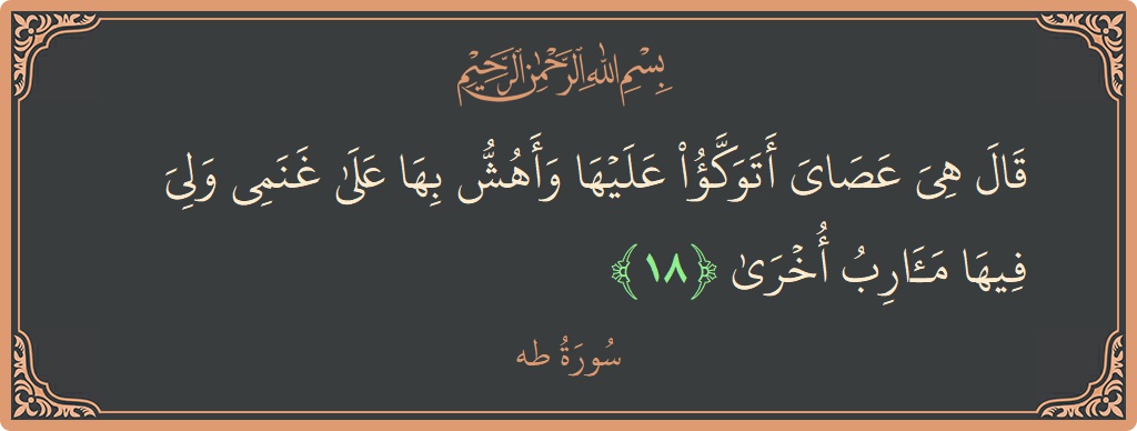 آیت 18 - سورہ طٰہٰ: (قال هي عصاي أتوكأ عليها وأهش بها على غنمي ولي فيها مآرب أخرى...) - اردو