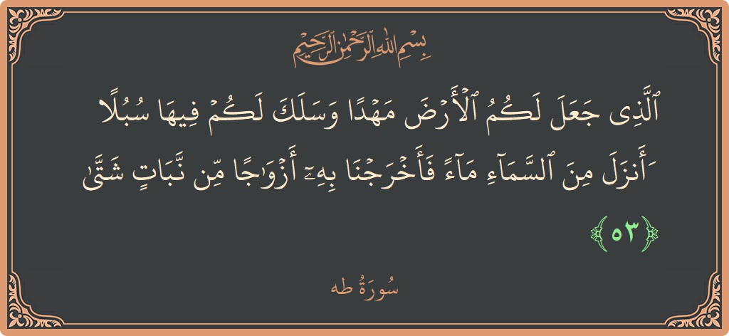 آیت 53 - سورہ طٰہٰ: (الذي جعل لكم الأرض مهدا وسلك لكم فيها سبلا وأنزل من السماء ماء فأخرجنا به أزواجا من نبات شتى...) - اردو