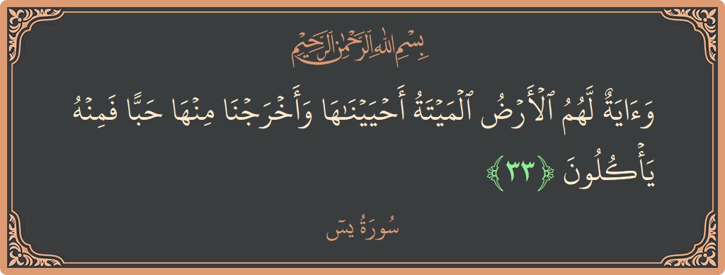 الآية 33 - سورة يس: (وآية لهم الأرض الميتة أحييناها وأخرجنا منها حبا فمنه يأكلون...)
