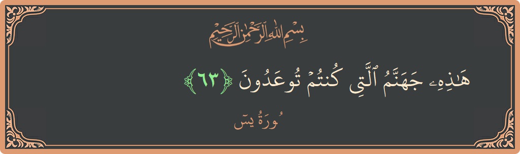 الآية 63 - سورة يس: (هذه جهنم التي كنتم توعدون...)