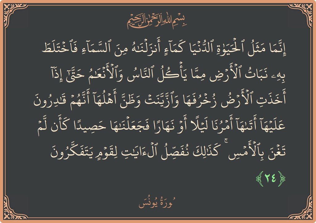 آیت 24 - سورہ یونس: (إنما مثل الحياة الدنيا كماء أنزلناه من السماء فاختلط به نبات الأرض مما يأكل الناس والأنعام حتى إذا أخذت الأرض...) - اردو