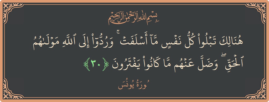 آیت 30 - سورہ یونس: (هنالك تبلو كل نفس ما أسلفت ۚ وردوا إلى الله مولاهم الحق ۖ وضل عنهم ما كانوا يفترون...) - اردو